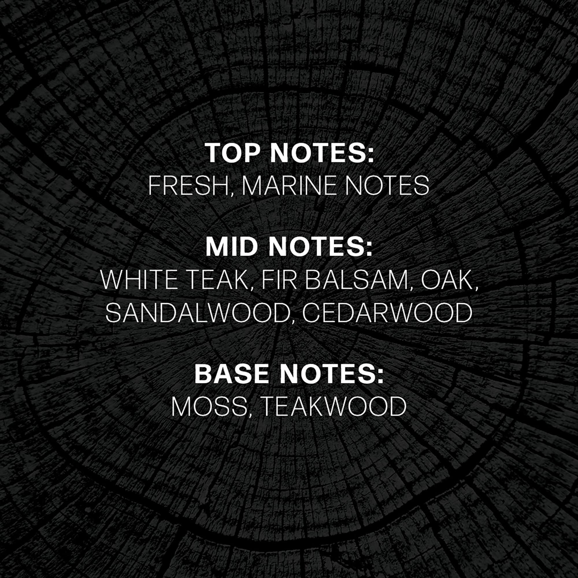 WoodWick Candela profumata in vetro Precious Metals 