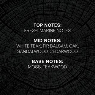 WoodWick Candela profumata in vetro Precious Metals 