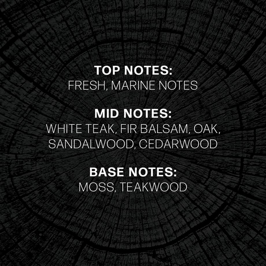 WoodWick Candela profumata in vetro Precious Metals 