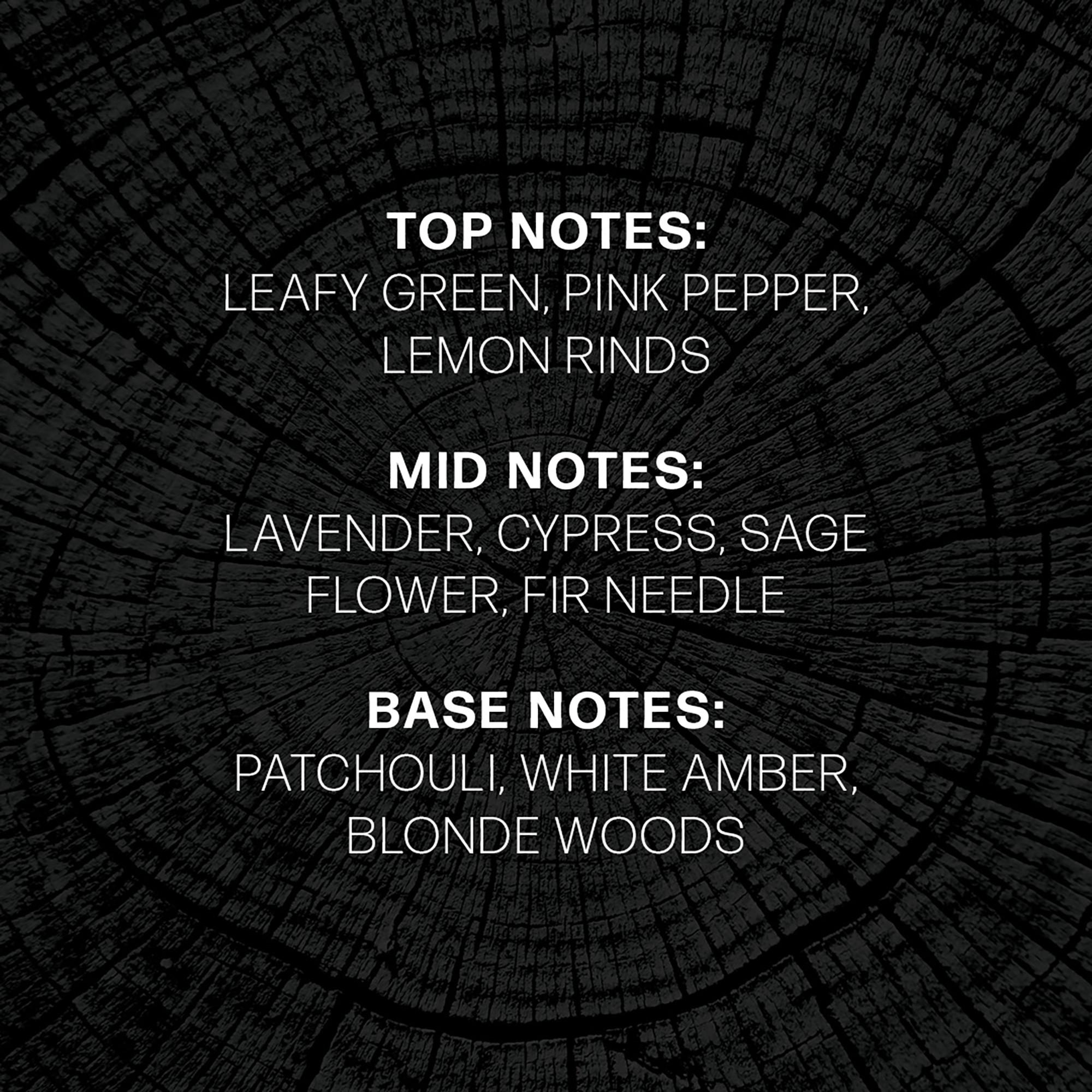 WoodWick Duftkerze im Glas Precious Metals 