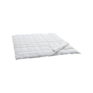 billerbeck Edition Melody 4-Saison Doppel-Daunenduvet  