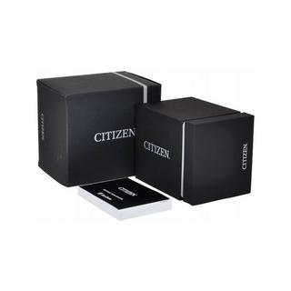 Citizen Promaster Analoguhr 