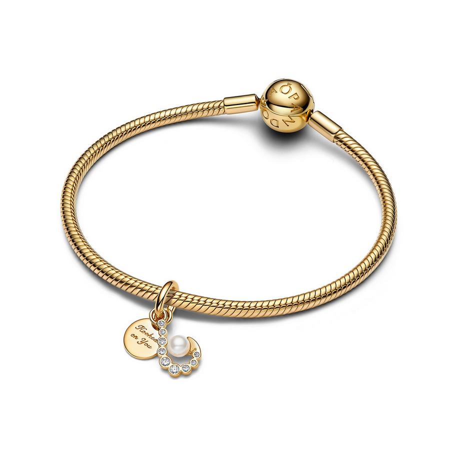 PANDORA Pandora Moments Charm 