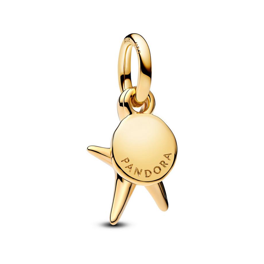 PANDORA Pandora Moments Charm 