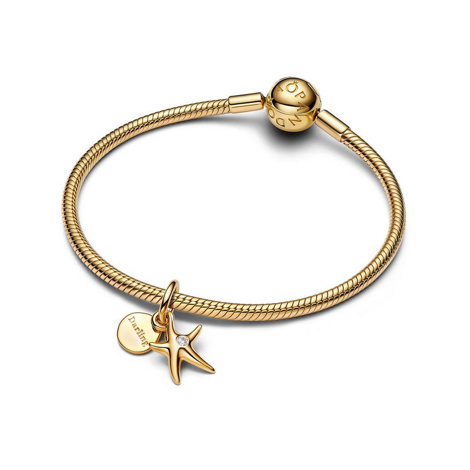 PANDORA Pandora Moments Charm 