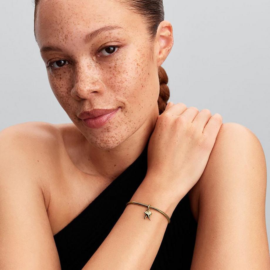 PANDORA Pandora Moments Charm 