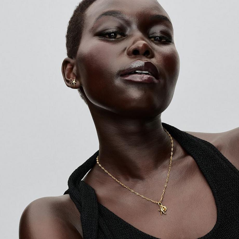 PANDORA Pandora Moments Charm 