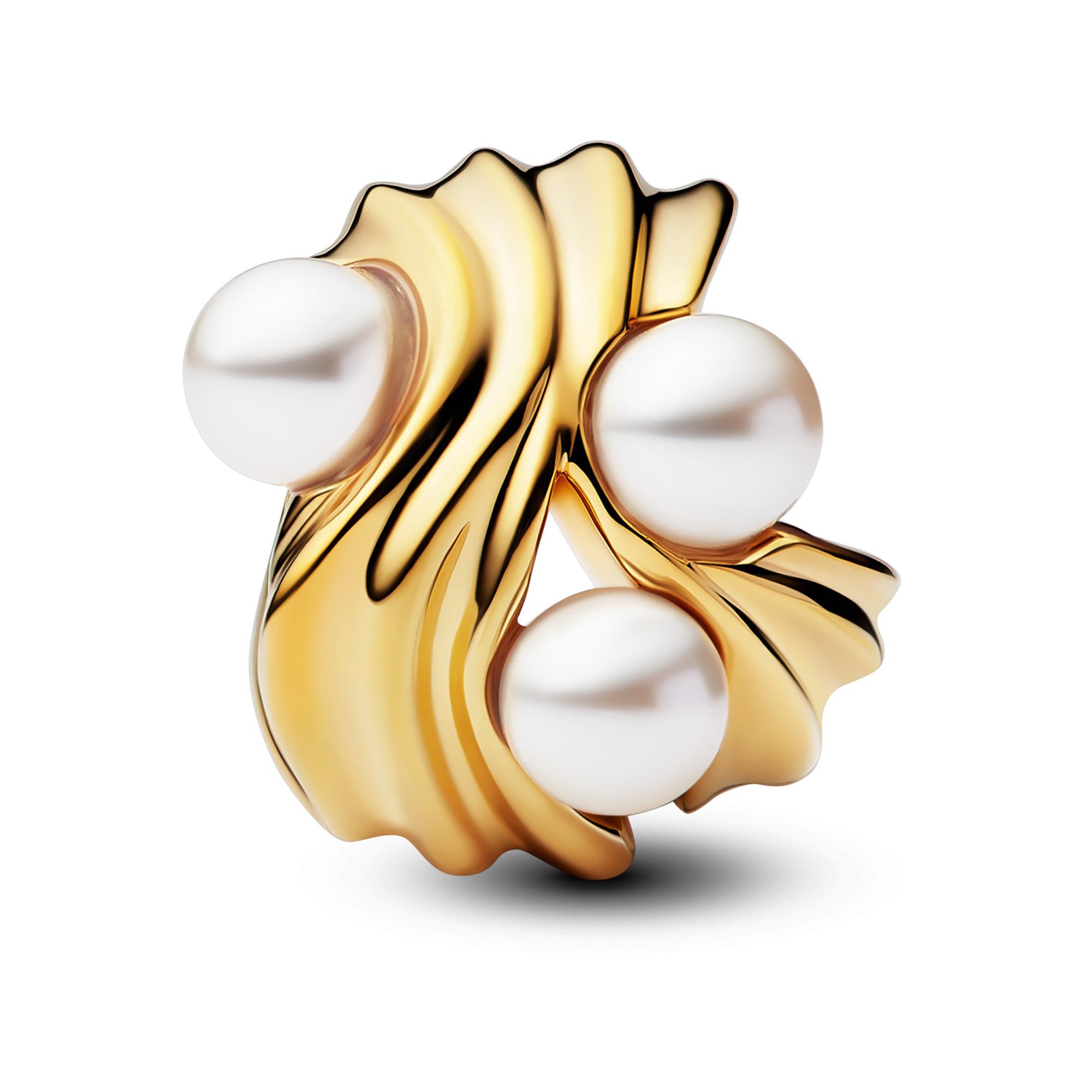 PANDORA Pandora Moments Charm 