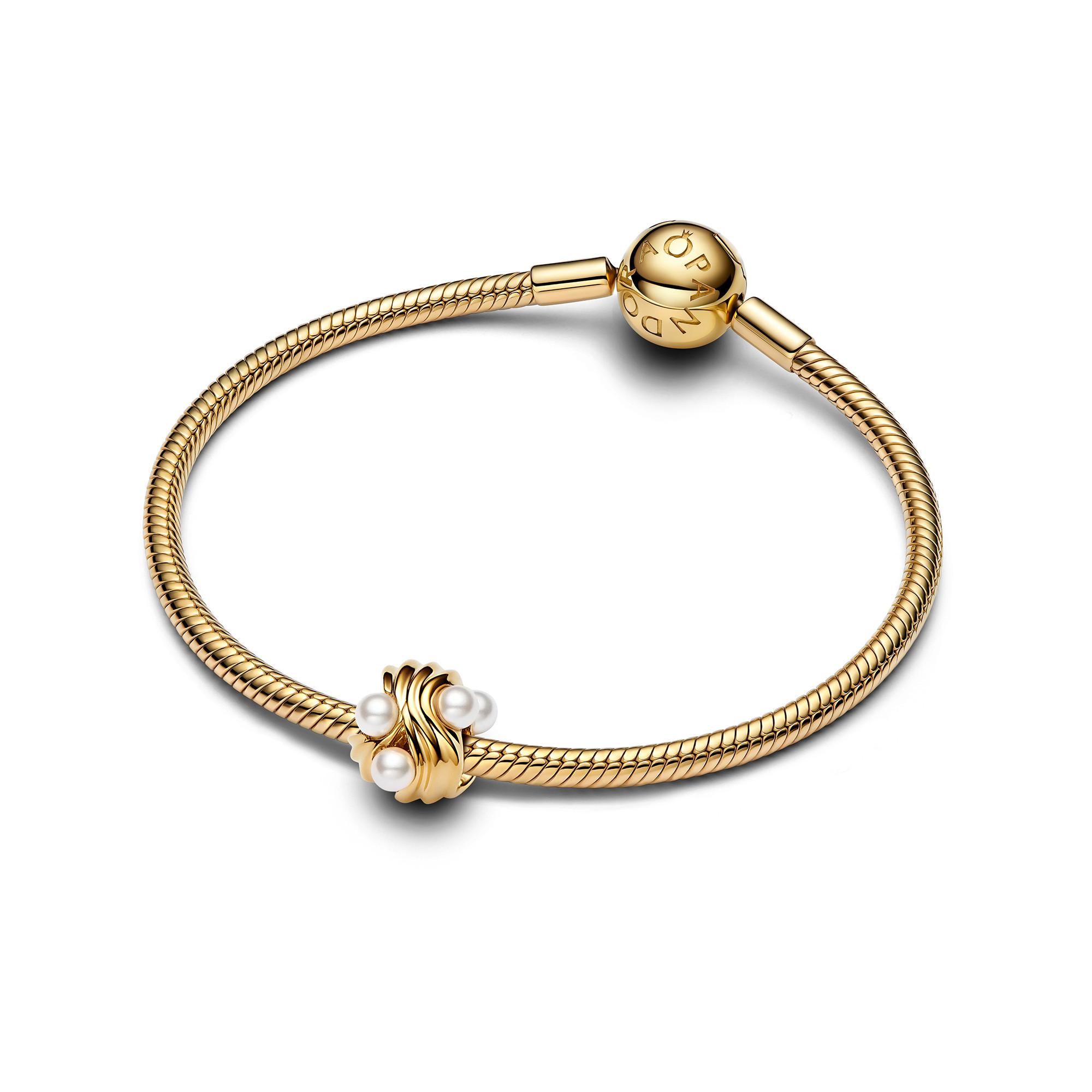 PANDORA Pandora Moments Charm 