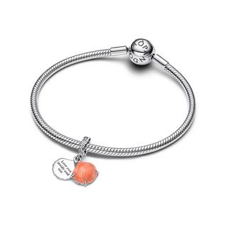 PANDORA Pandora Moments Charm 