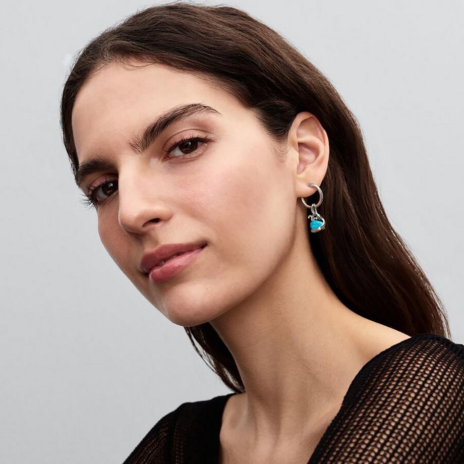 PANDORA Pandora Moments Charm 