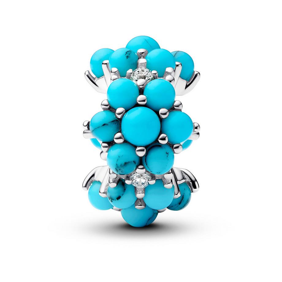 PANDORA Pandora Moments Charm 