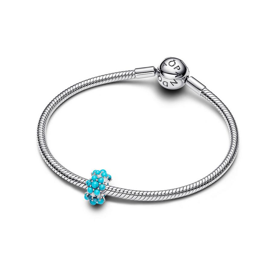 PANDORA Pandora Moments Charm 