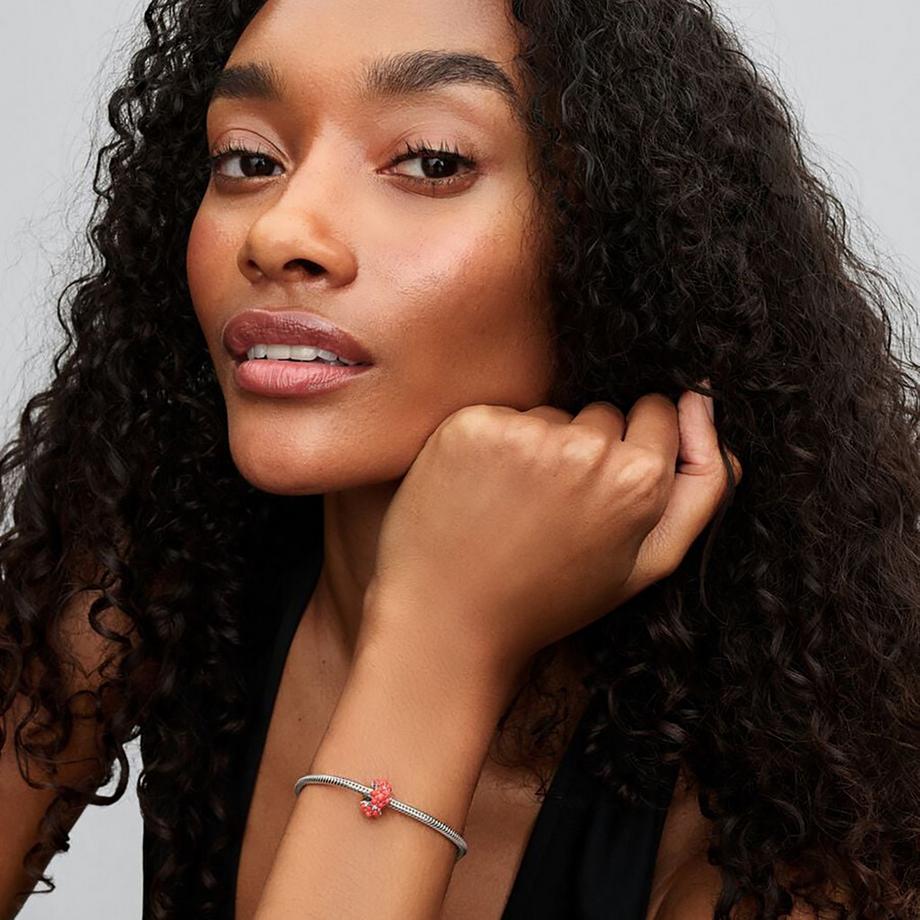 PANDORA Pandora Moments Charm 