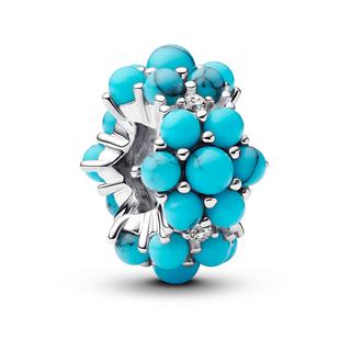 PANDORA Pandora Moments Charm 