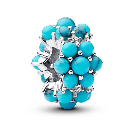 PANDORA Pandora Moments Charm 