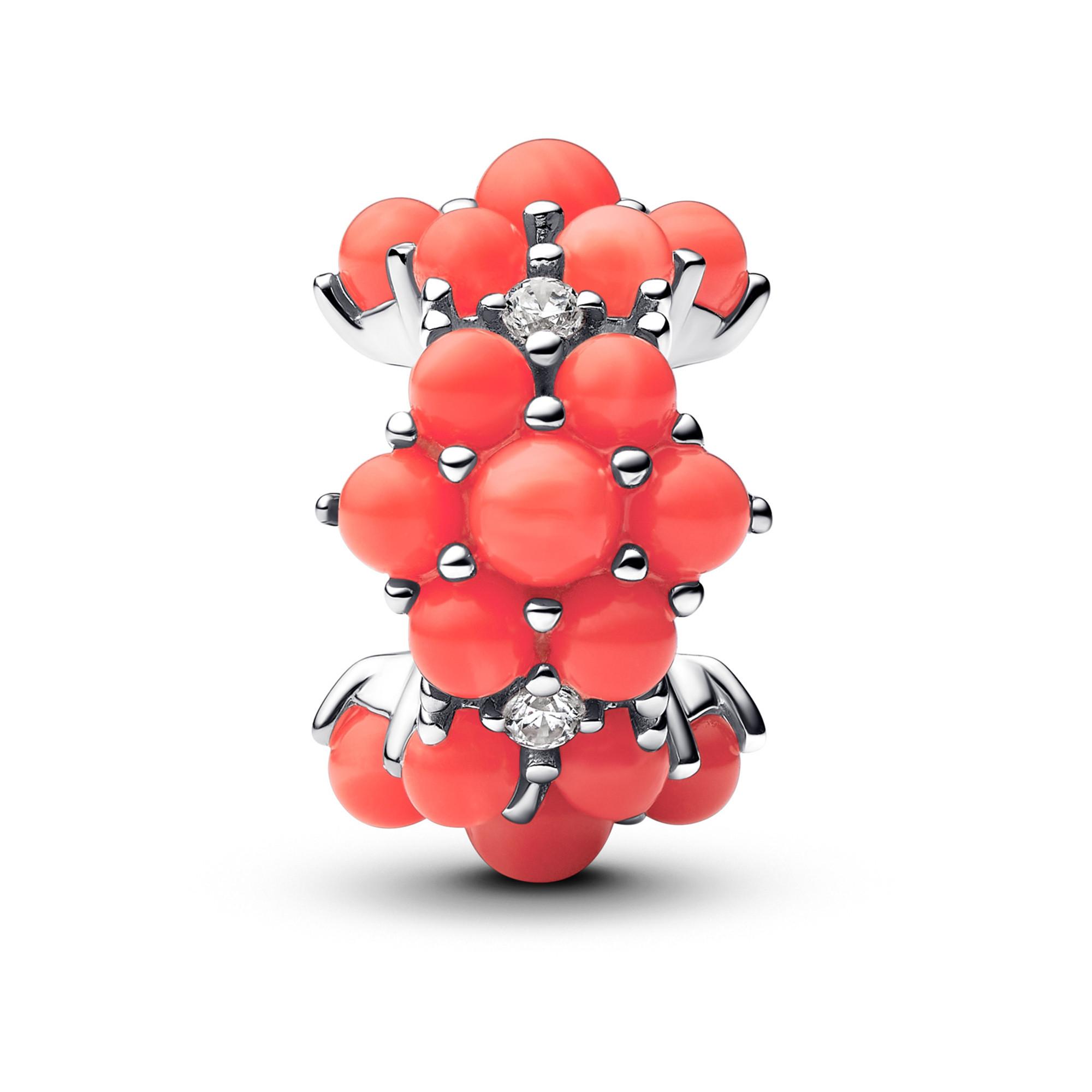 PANDORA Pandora Moments Charm 