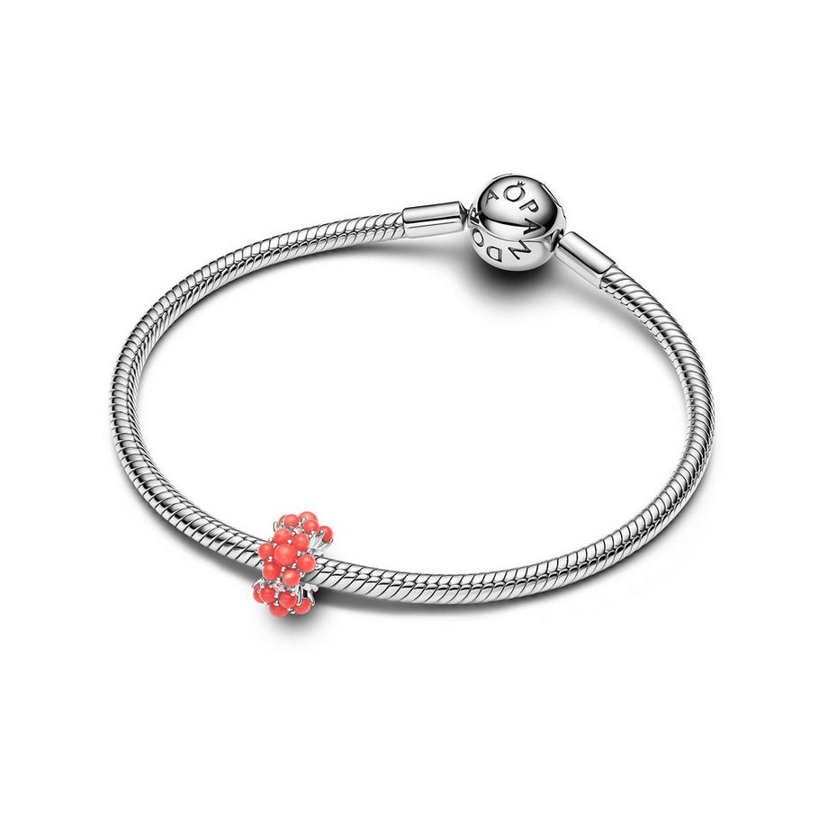 PANDORA Pandora Moments Charm 