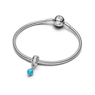 PANDORA Pandora Moments Charm 
