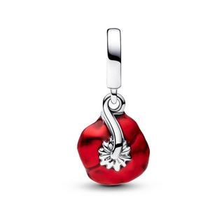 PANDORA Pandora Moments Charm 