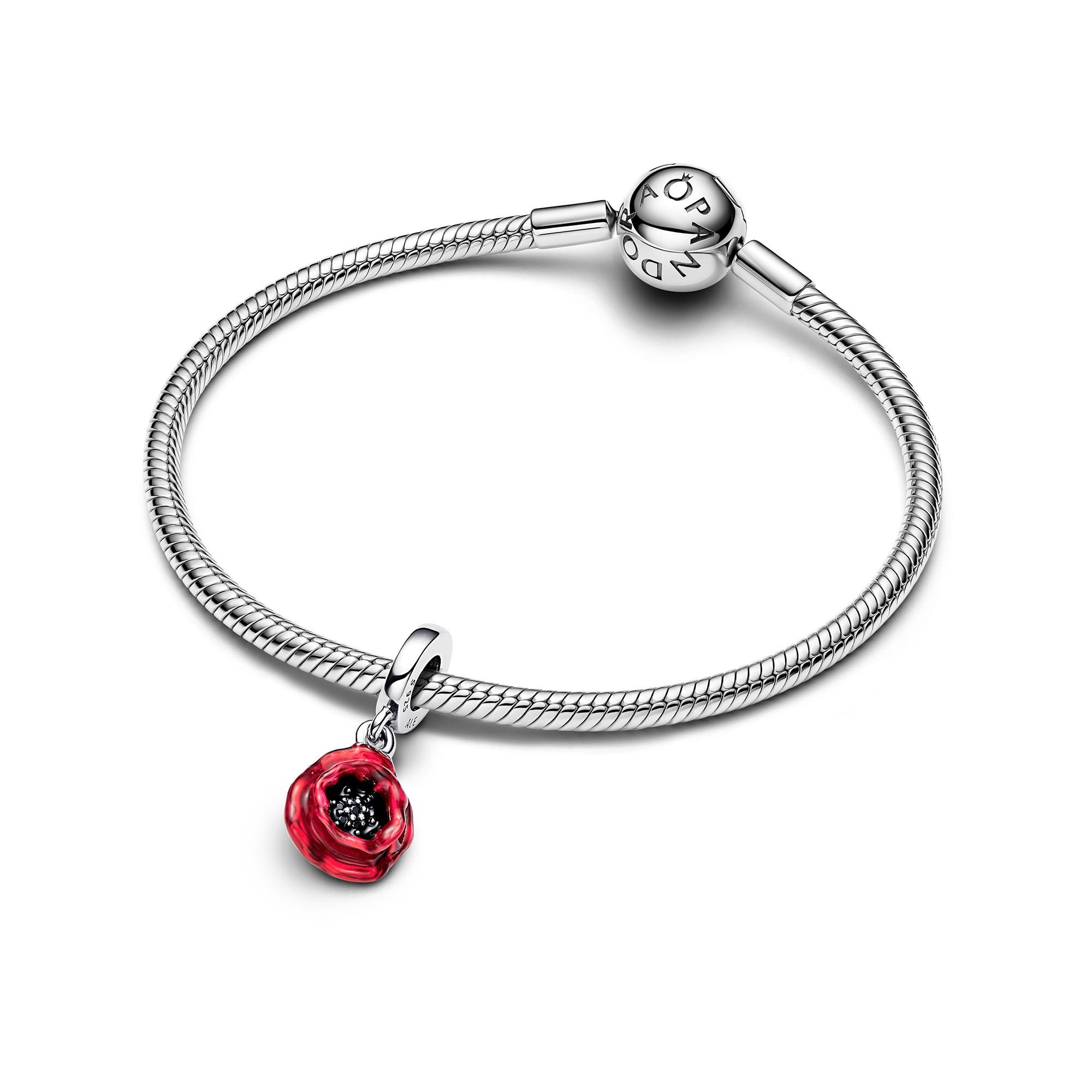 PANDORA Pandora Moments Charm 