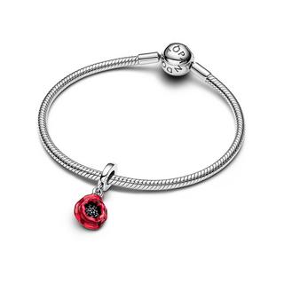 PANDORA Pandora Moments Charm 