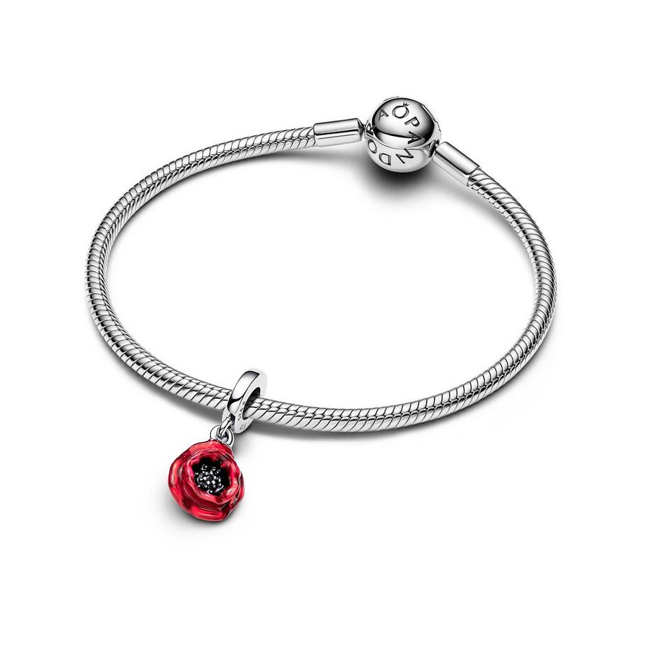 PANDORA Pandora Moments Charm 