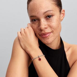 PANDORA Pandora Moments Charm 