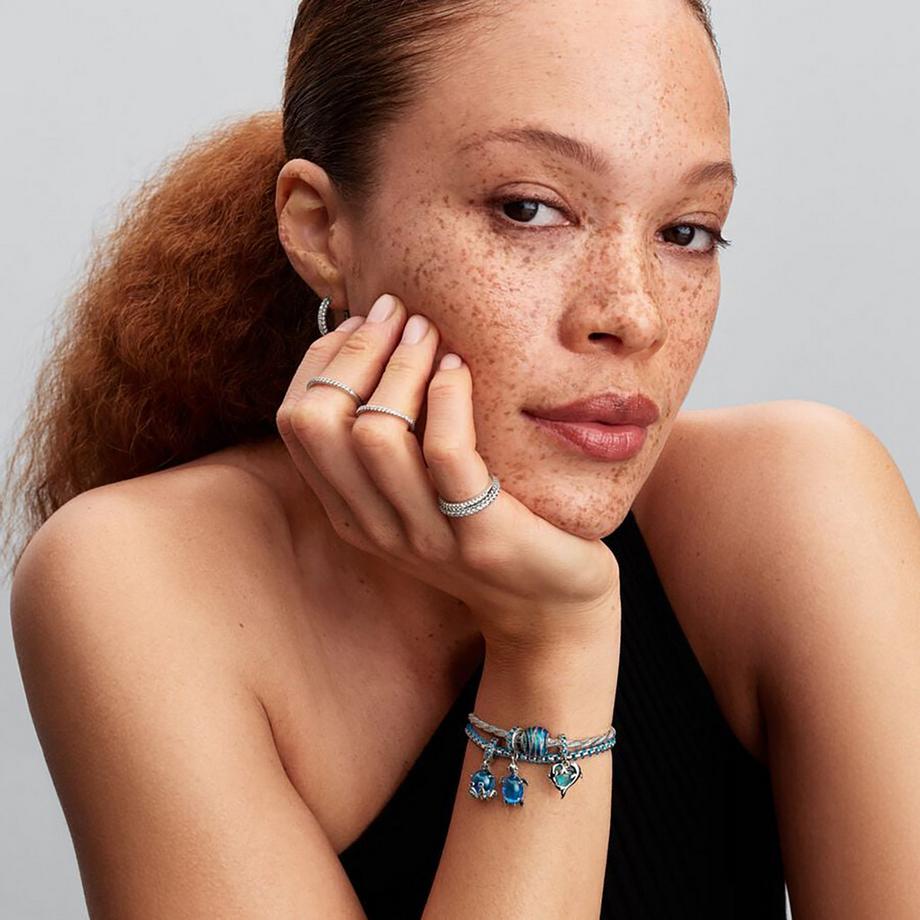 PANDORA Pandora Moments Charm 