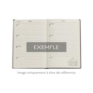 Paperblanks Wochenplaner 2026 Asterix & Obelix Mini 