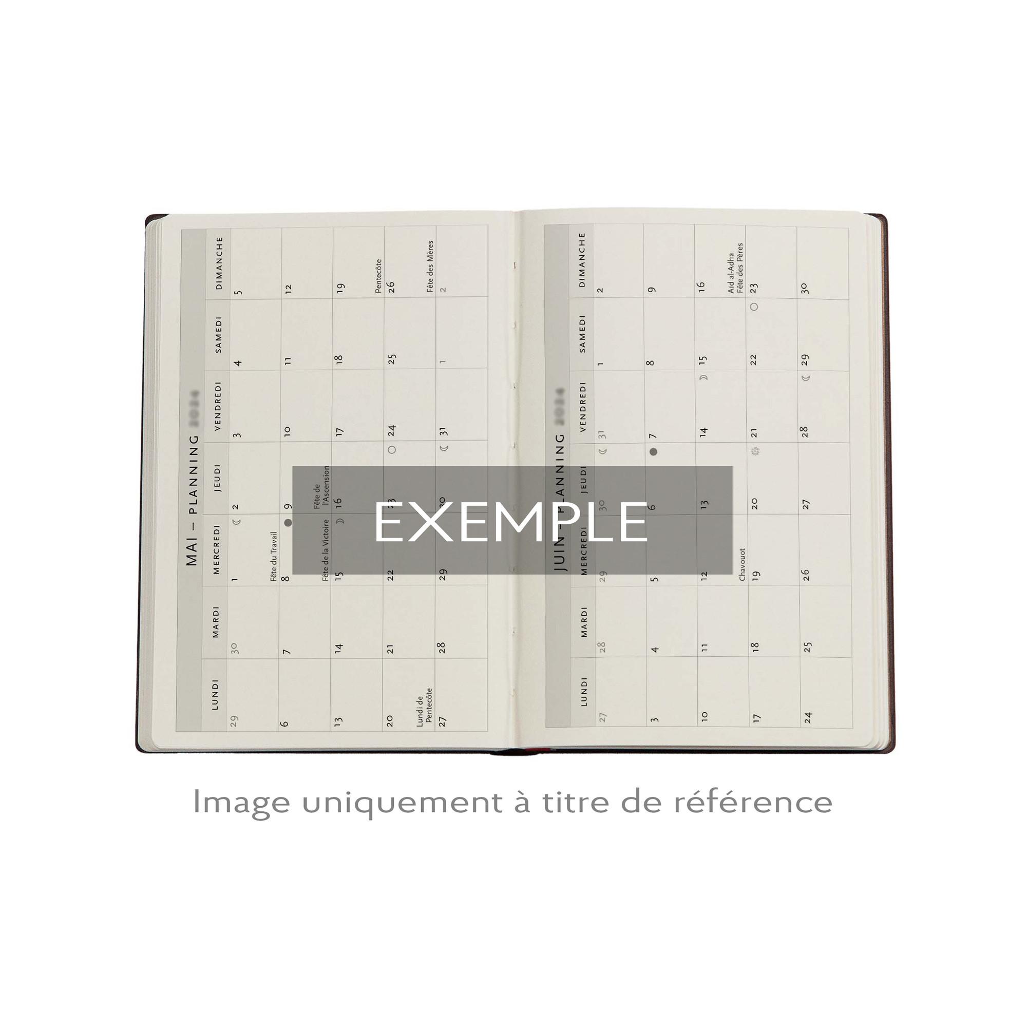 Paperblanks Wochenplaner 2026 Asterix & Obelix Mini 