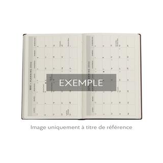 Paperblanks Wochenplaner 2026 Asterix & Obelix Mini 