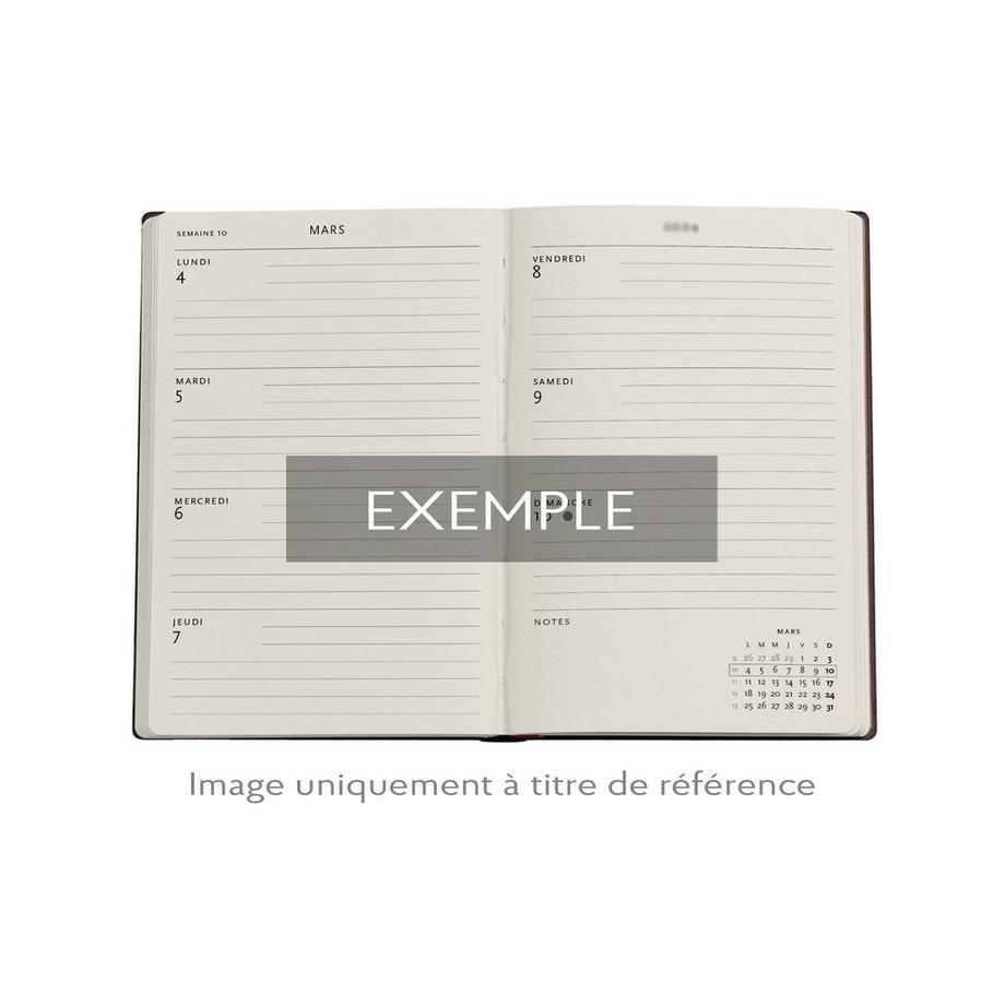 Paperblanks Wochenplaner 2026 Himmlische Magie Mini 