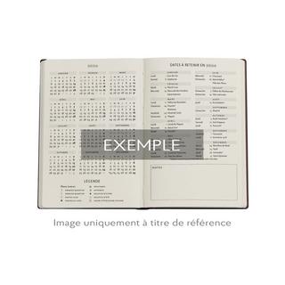 Paperblanks Agenda hebdomadaire 2026 Himmlische Magie Mini 