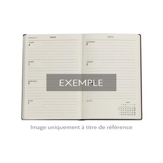 Paperblanks Wochenplaner 2026 Chrysanthemen Mini 