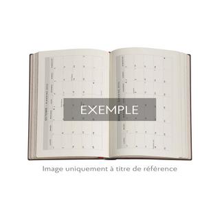 Paperblanks Wochenplaner 2026 Brief an Morisot Midi 