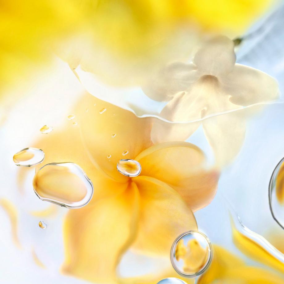 Lancôme Les Ô Ô Zenith Eau de Toilette  