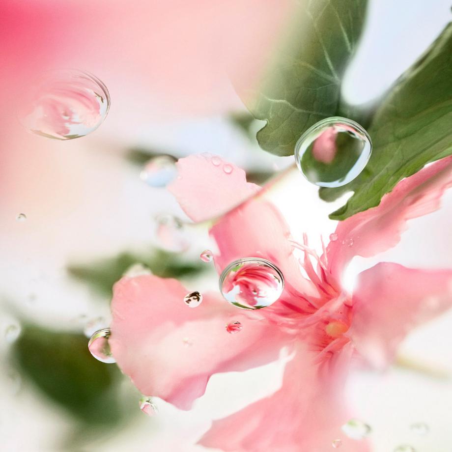 Lancôme Les Ô Ôver the Top Eau de Toilette  