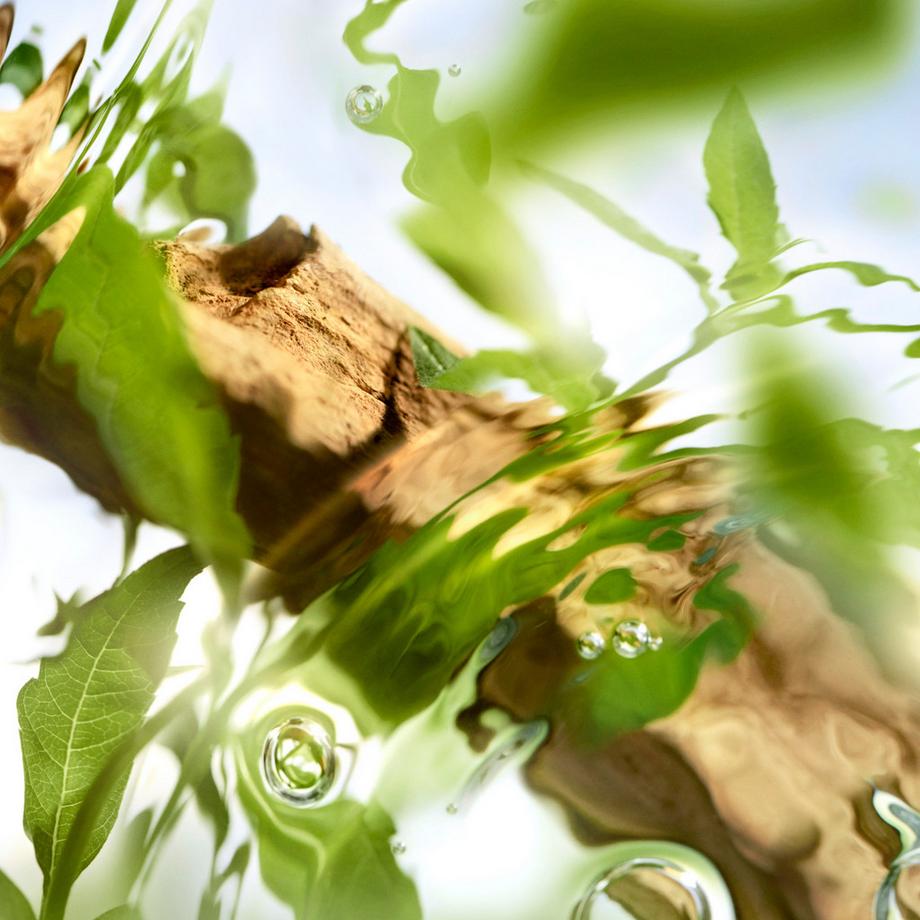 Lancôme Les Ô Ôff Now Eau de Toilette  