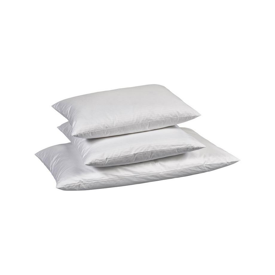 billerbeck Edition Maureen Oreiller Ferme en Duvet Plumes  