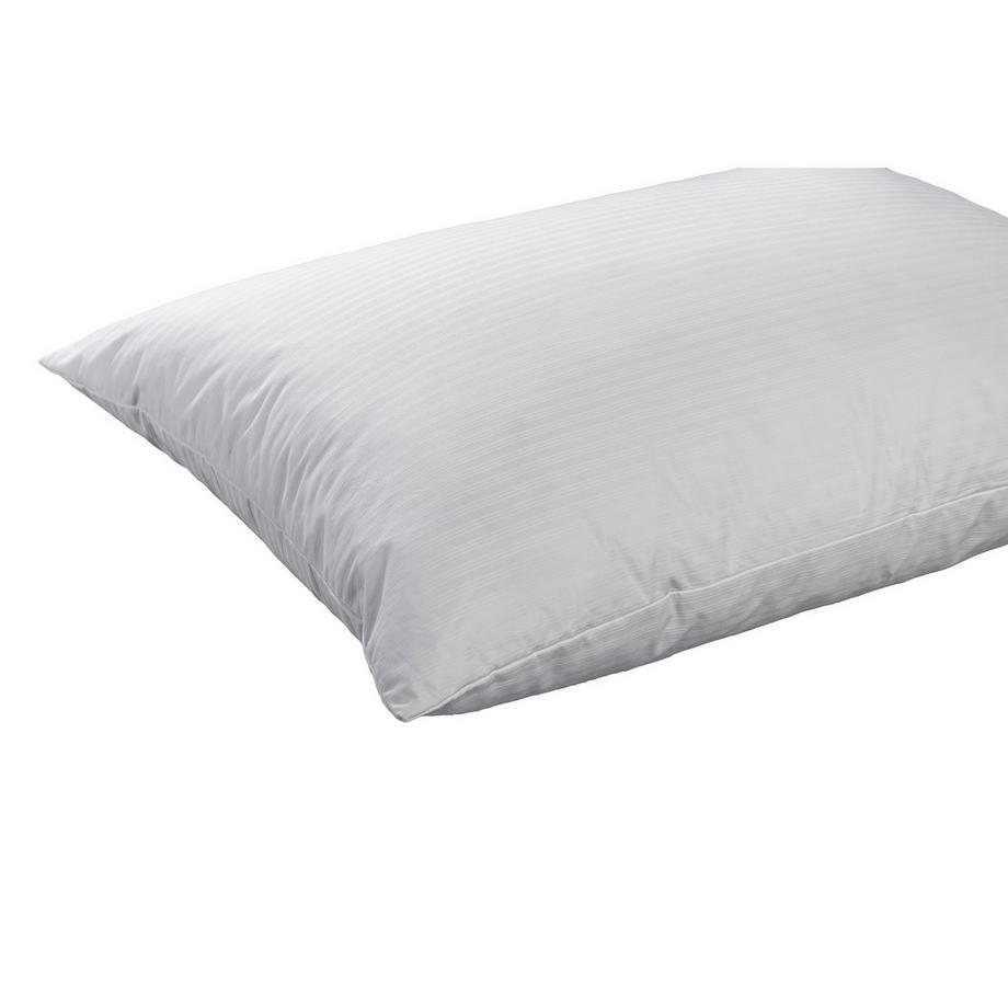 billerbeck Edition Maureen Oreiller Ferme en Duvet Plumes  