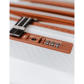 SWISS BAG COMPANY 70 CM, Hartschalenkoffer, Spinner New Vision 