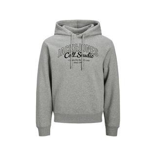 JACK & JONES Hoodie  
