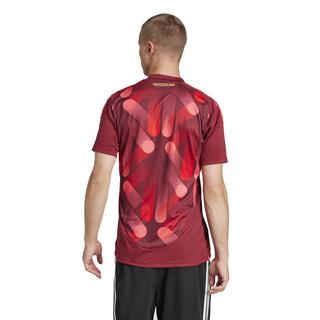 adidas M Deutschland Away Maillot de foot 