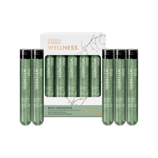 BAYLIS & HARDING  Wellness Bath Infusions Set Regalo 