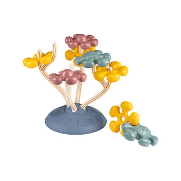 Modellare il gioco del corallo