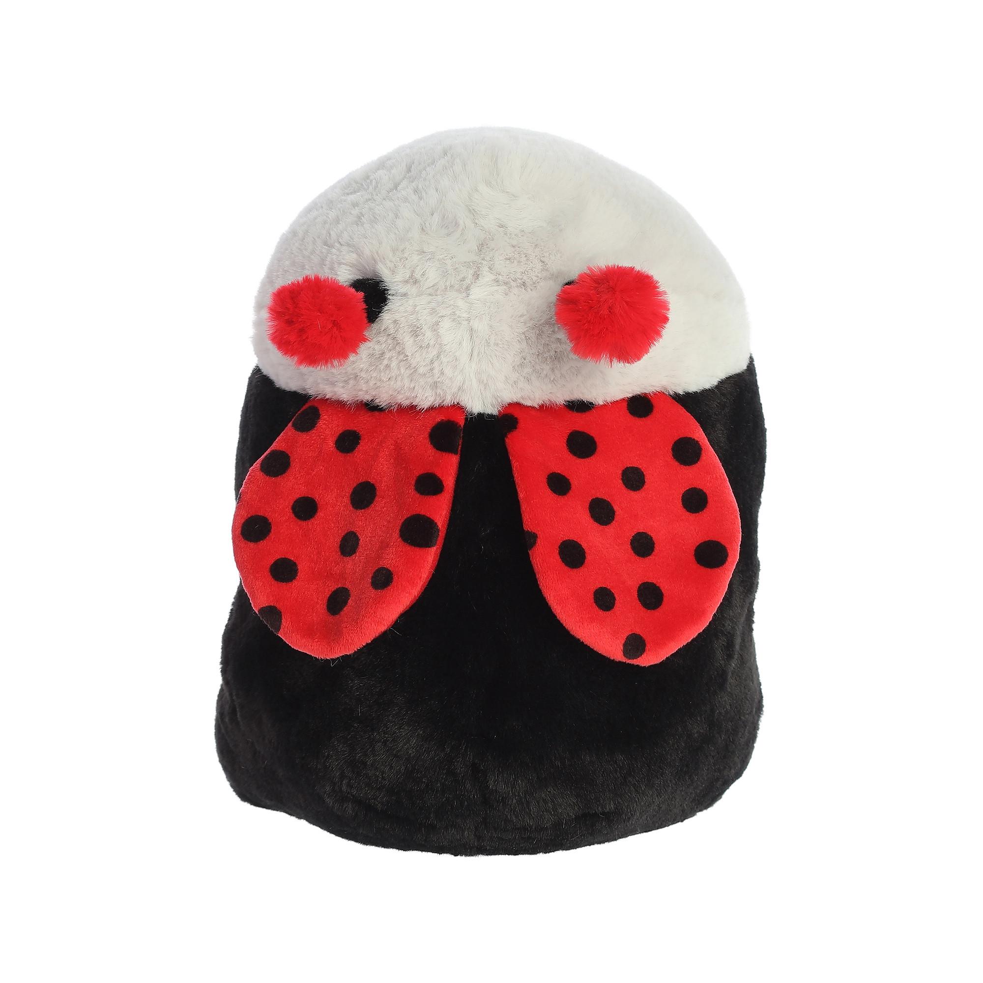 Aurora  Marienkäfer 