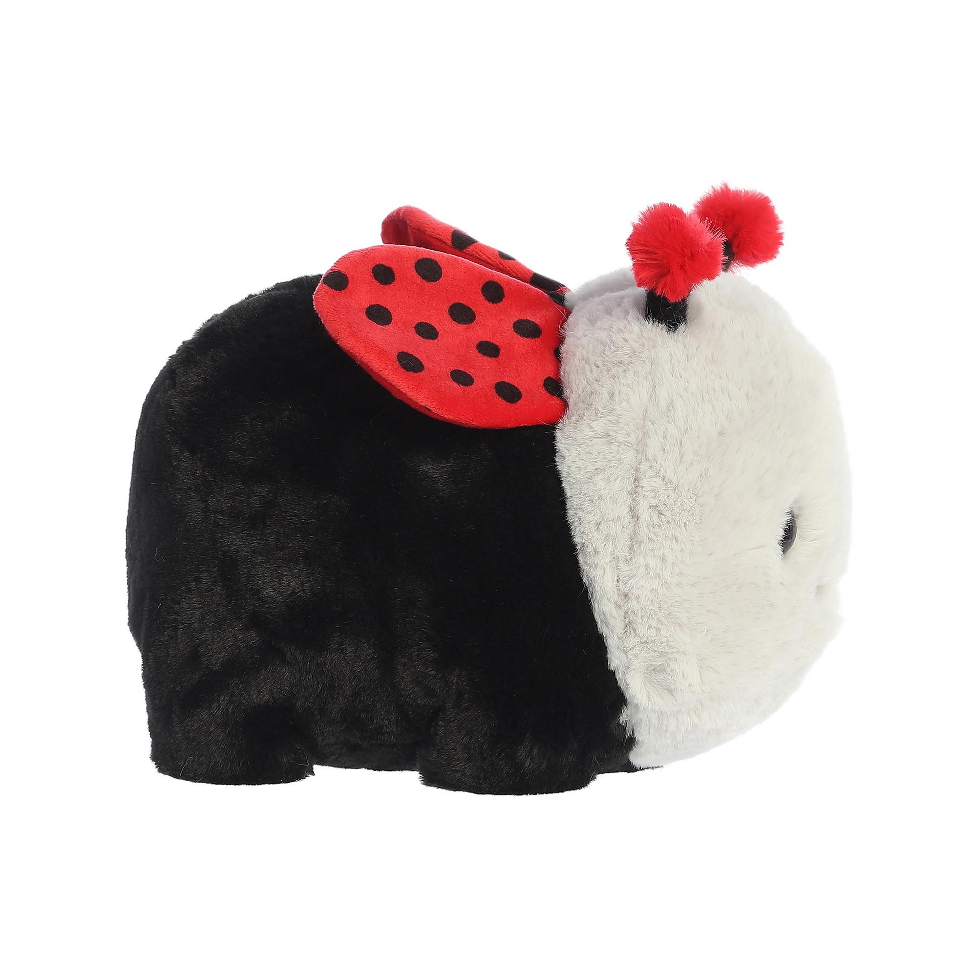 Aurora  Marienkäfer 