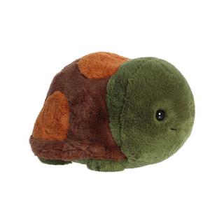 Aurora  Schildkröte 