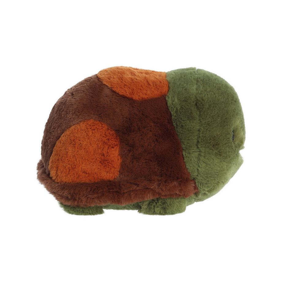 Aurora  Schildkröte 